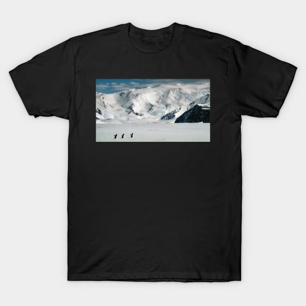 Adelie Penguins at Cape Hallett T-Shirt by Carole-Anne